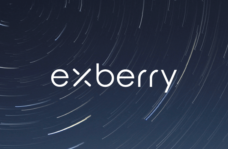 Exberry logo